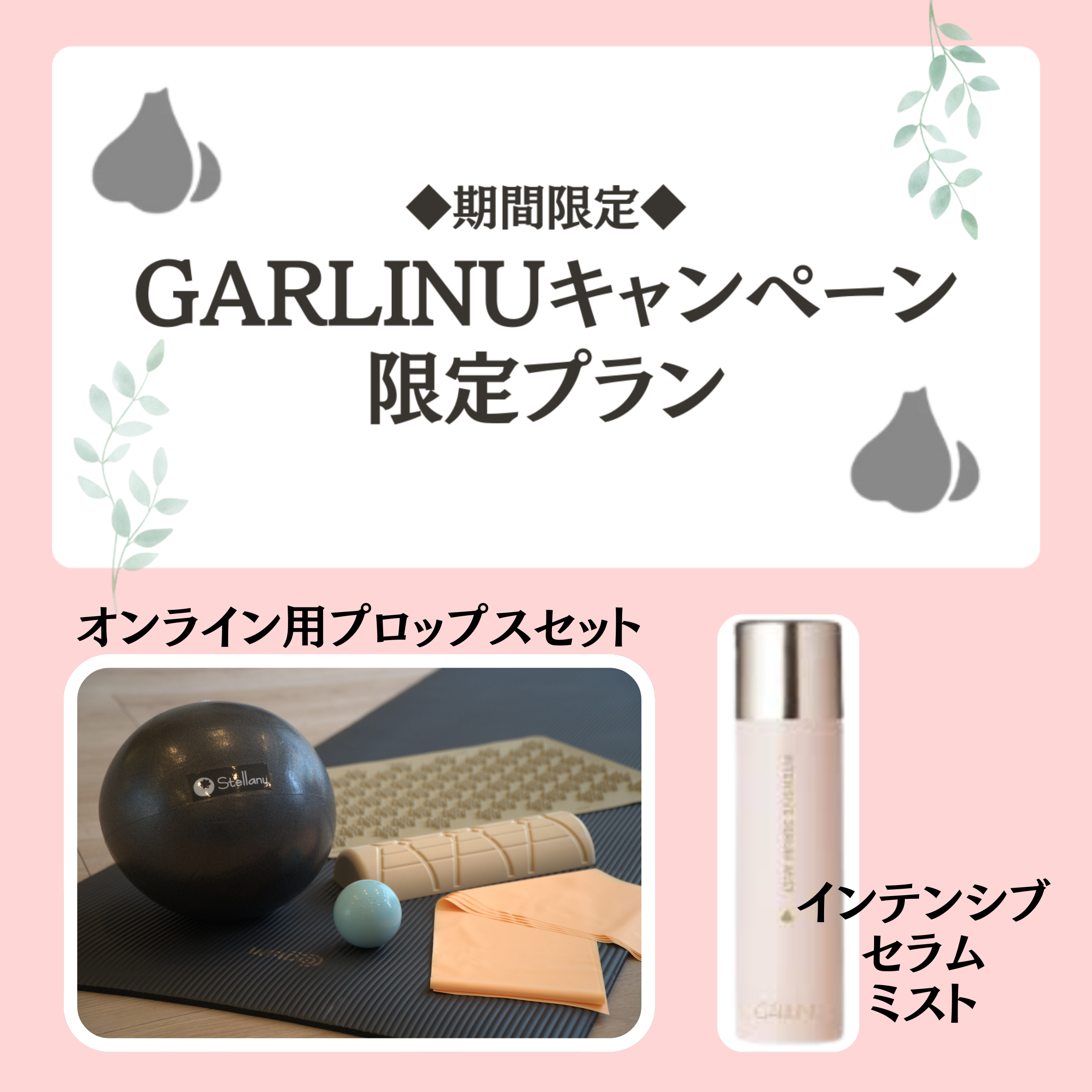 ソアオンライン ガリーヌコラボ【サブスク】オンラインピラティス(1か