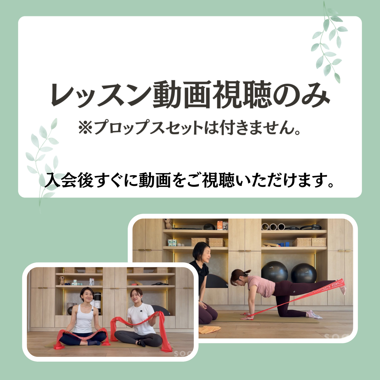 動画視聴のみプラン【サブスク】