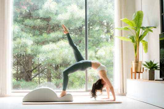 バロスパインBasic