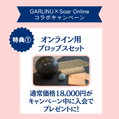GARLINUキャンペーンプラン【サブスク】